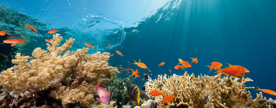 Marsa Alam