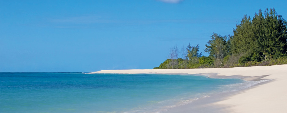 Bird Island