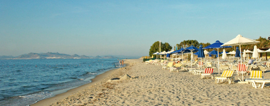 Psalidi