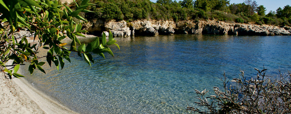 Favone
