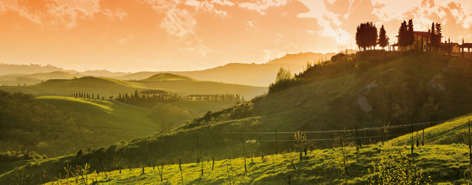 La Tonda / Montaione