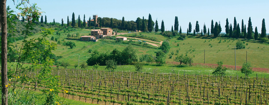 Valiano / Montepulciano