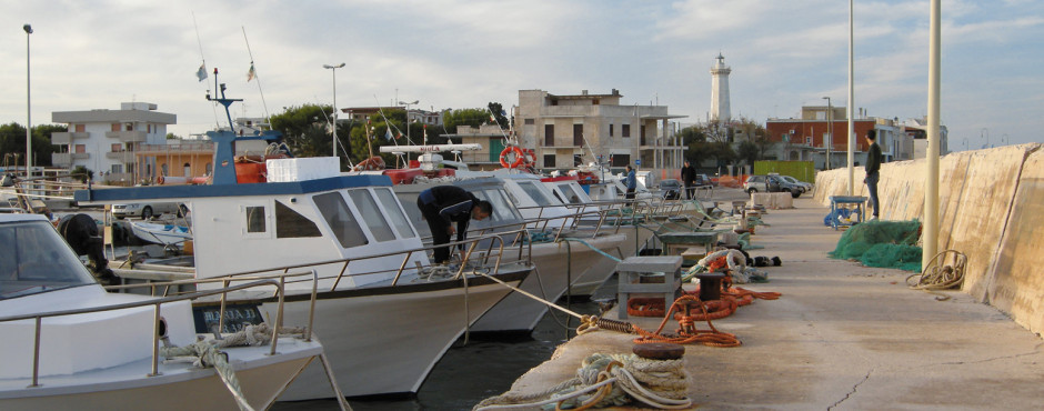 Torre Canne