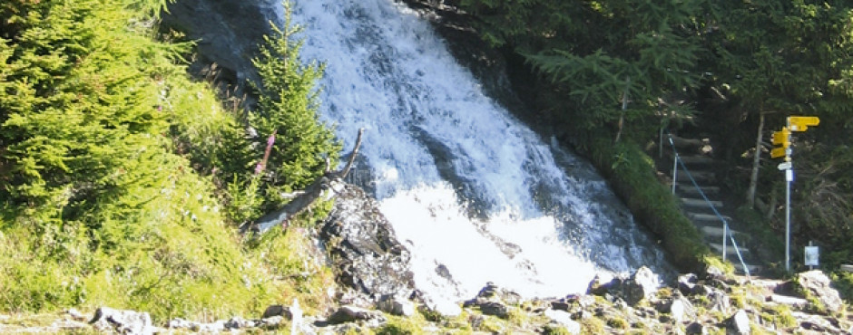Wanderweg durch den Wald Wanderweg durch den Wald