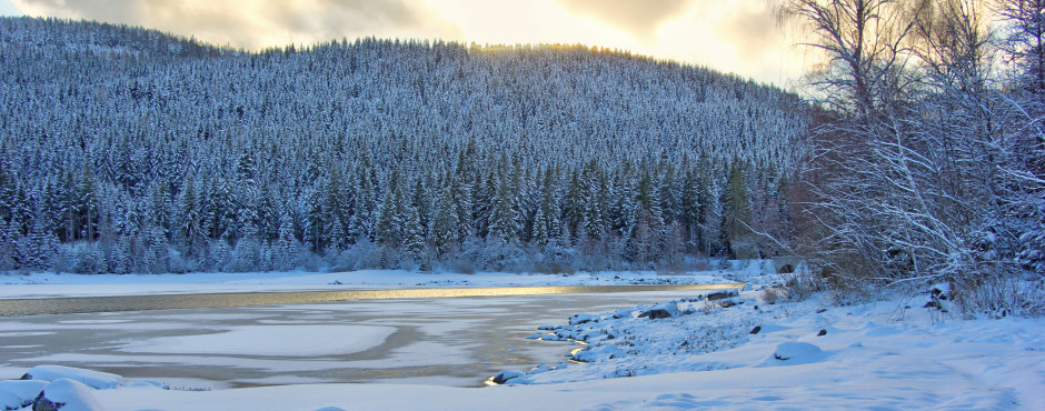 Winterstimmung am Schluchsee