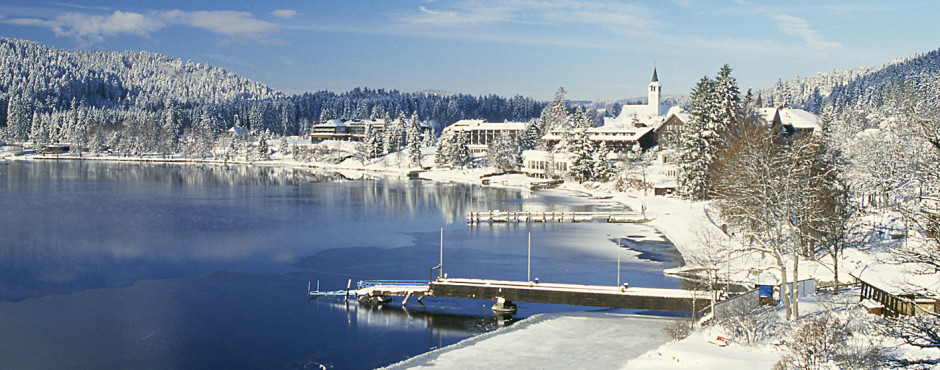 Winterlandschaft Titisee