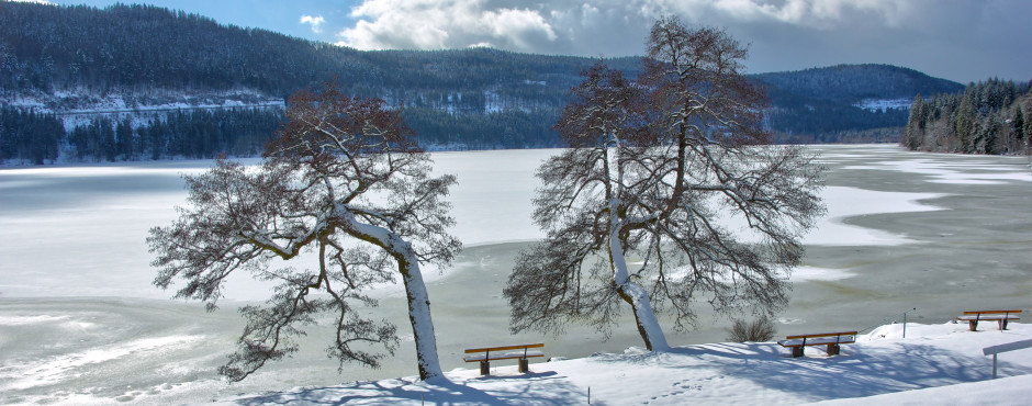 Winter im Schwarzwald