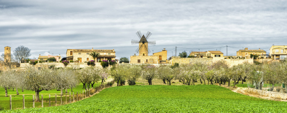Campos