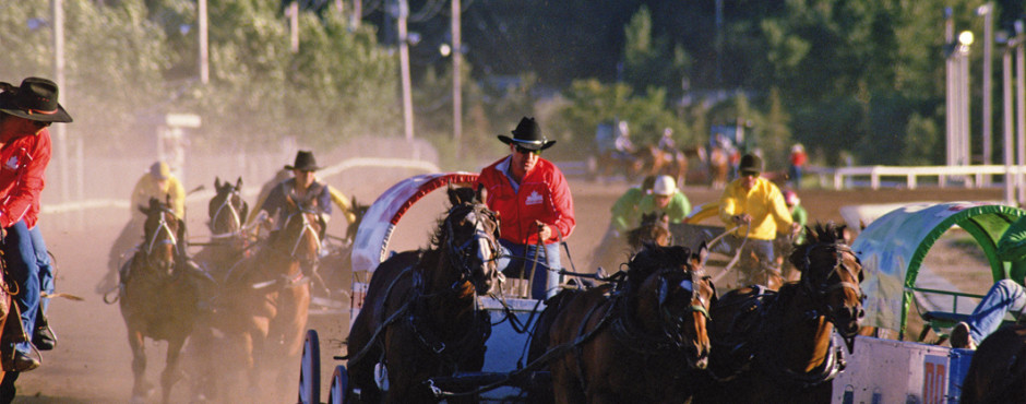 Calgary Stampede
