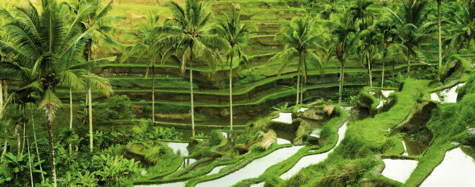Ubud