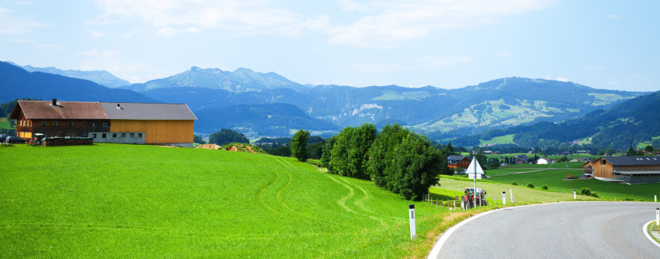 Blick auf Lingenau