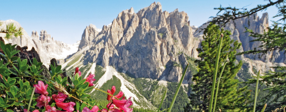 Campitello di Fassa