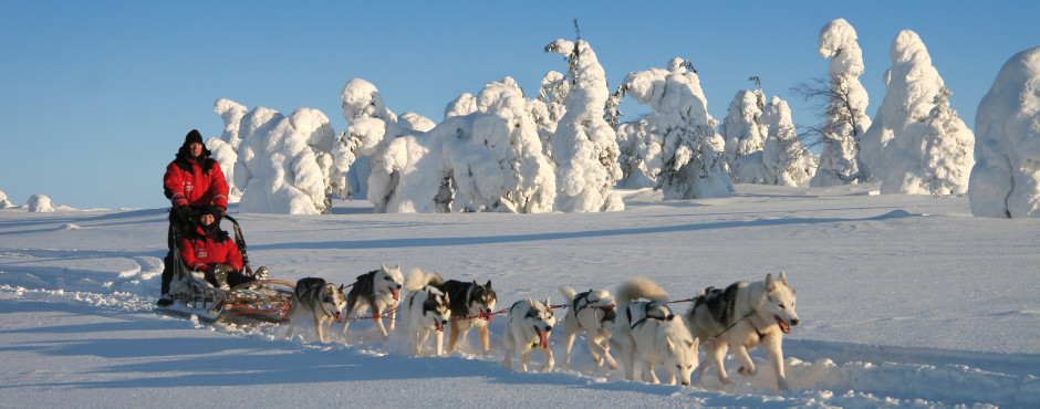 Mit dem Husky-Schlitten durch die Winterlandschaften
