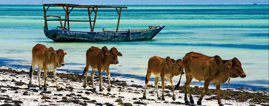 Pwani Mchangani