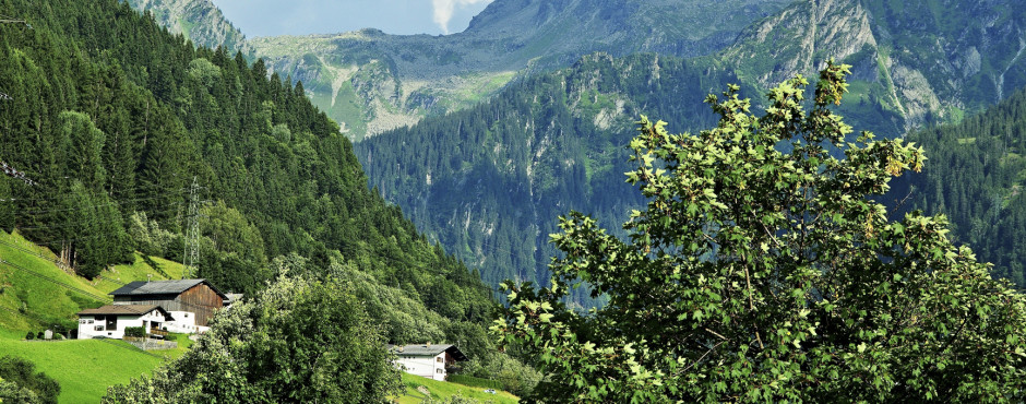 Vue sur Breiter Spitz