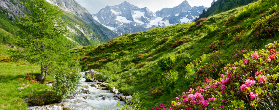 Wandern im Zillertal