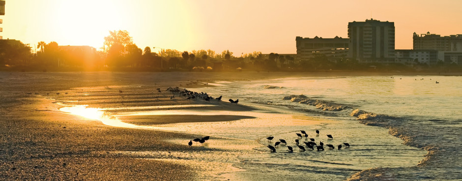 Sarasota