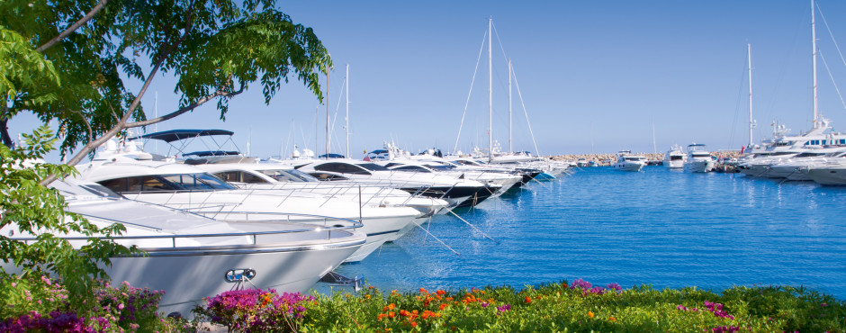 Calvi