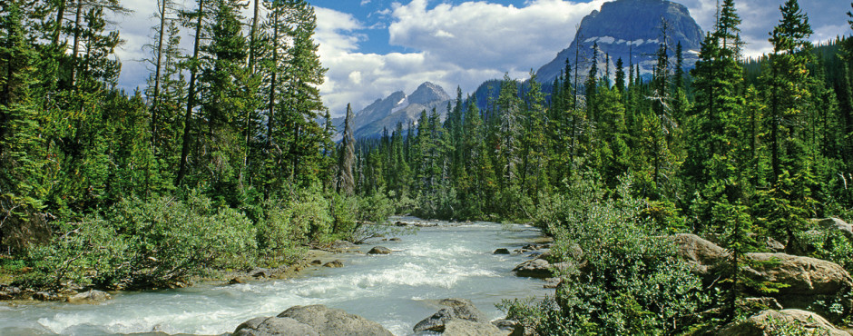 Athabasca River