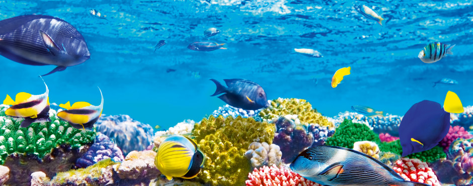 Aqaba & Umgebung