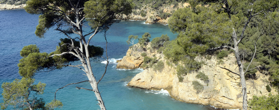Bandol