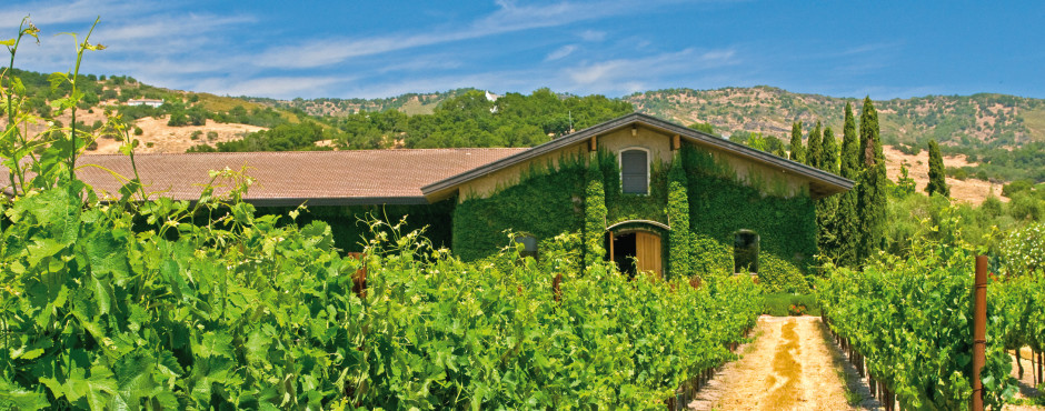 Napa Valley