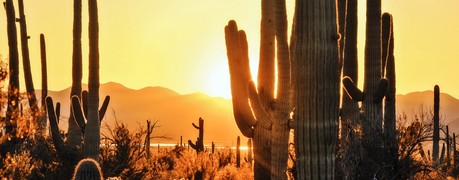 Tucson