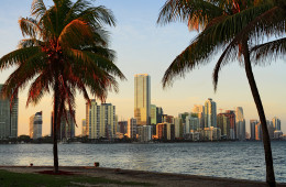 Florida Sunshine