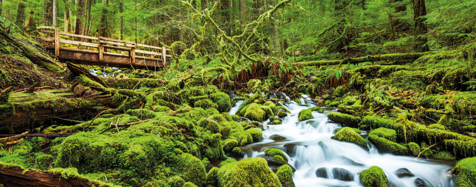 Olympic National Park