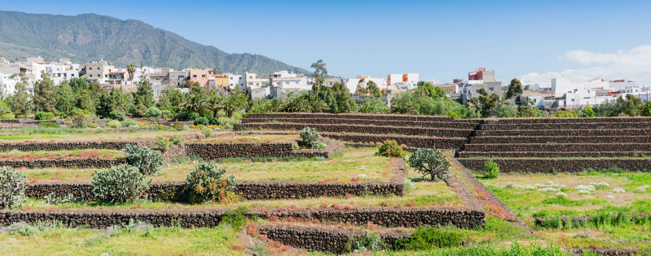 Güímar