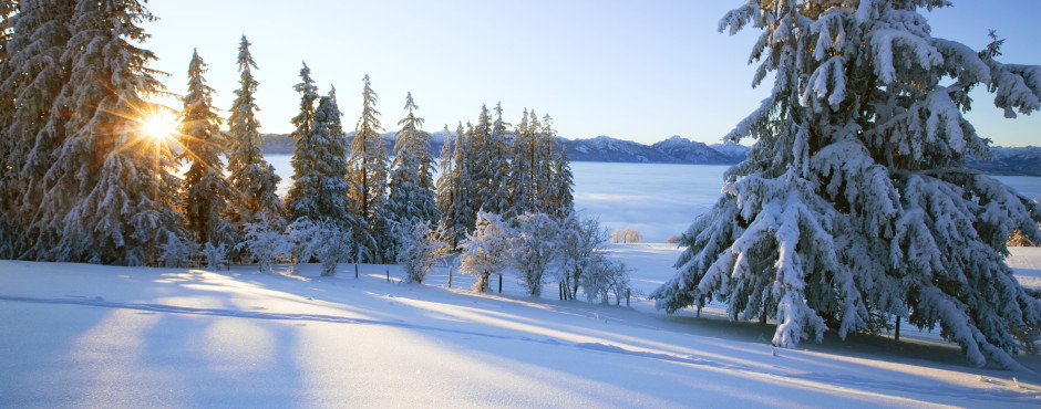 Winterlandschaft