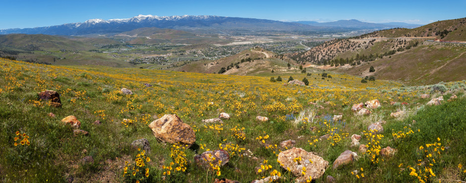 Reno