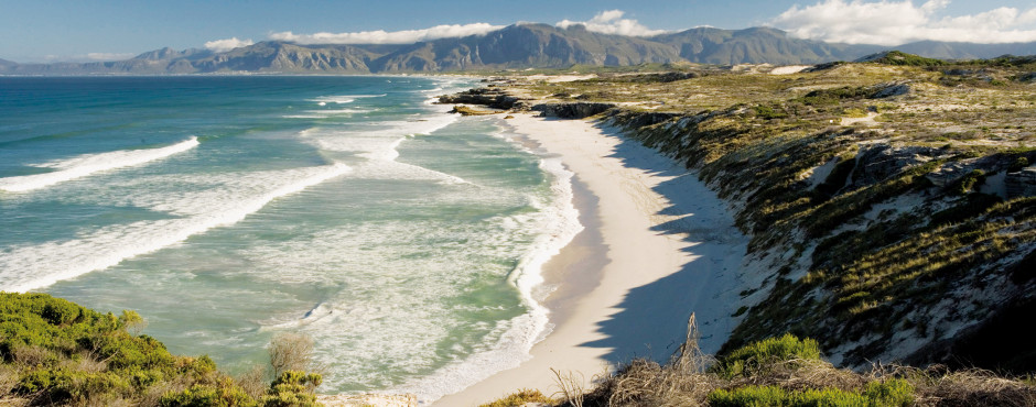Hermanus & Gaansbaai