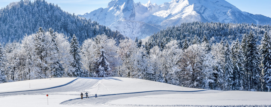 Skifahren im Neuschnee