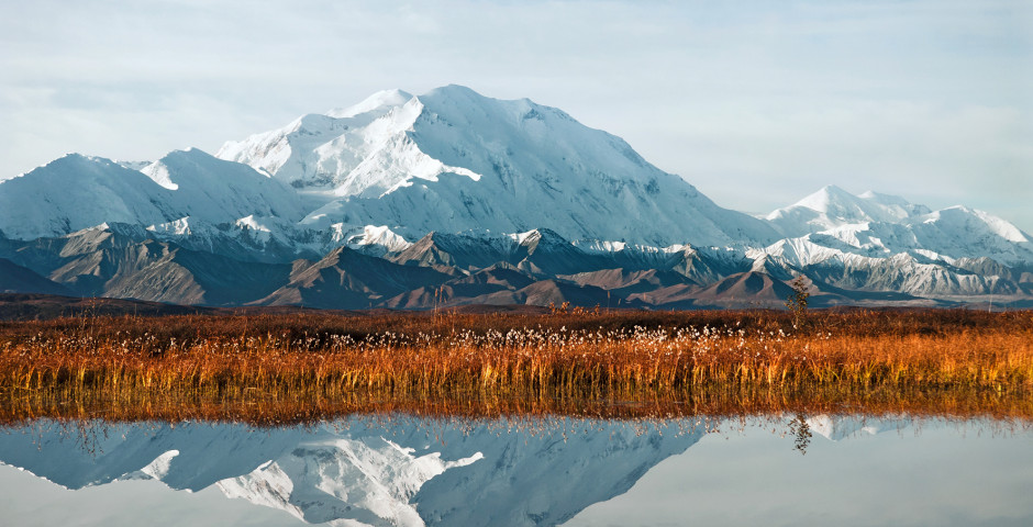 Hotels Denali National Park  g  nstig nach Denali National Park