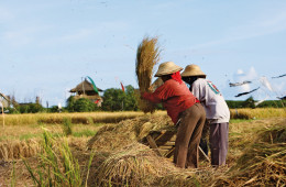 Vielfältiges Bali