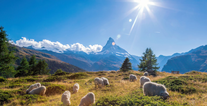 Vacances Valais chez Vacances Migros