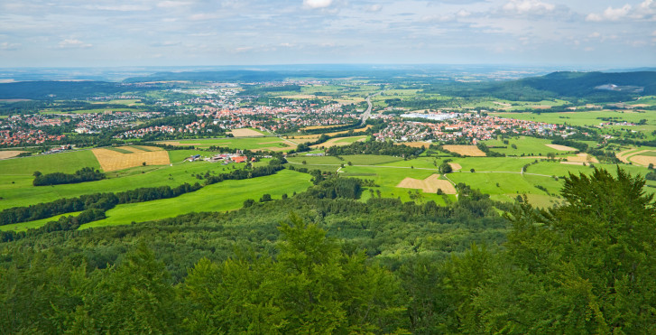 Schwarzwald im Sommer