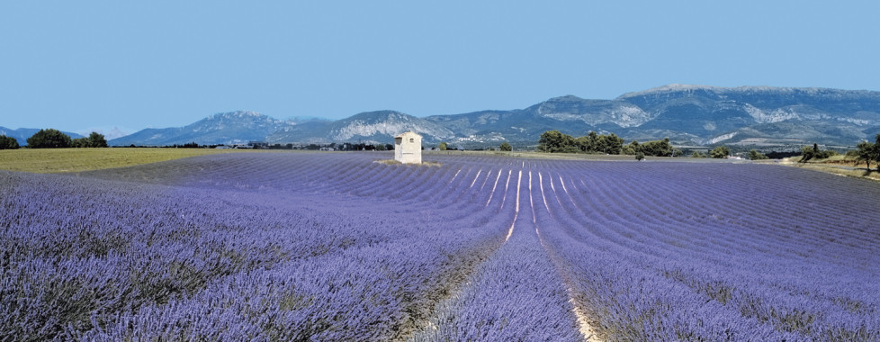Auberge de Tavel, Provence (Südfrankreich) - Migros Ferien