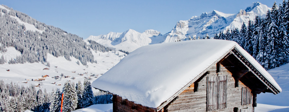 Revier Mountain Lodge Adelboden - Skipauschale, Adelboden-Lenk - Migros Ferien