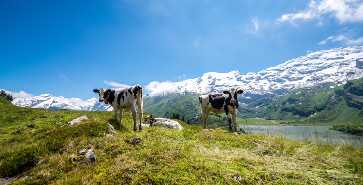 Engelberg-Titlis