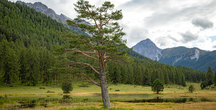 Basse-Engadine