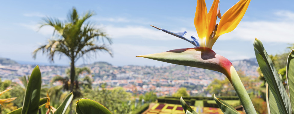 Pestana CR7 Funchal, Madeira - Migros Ferien