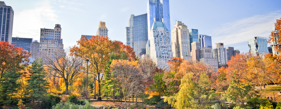 The Ritz Carlton New York Central Park, New York City - Vacances Migros