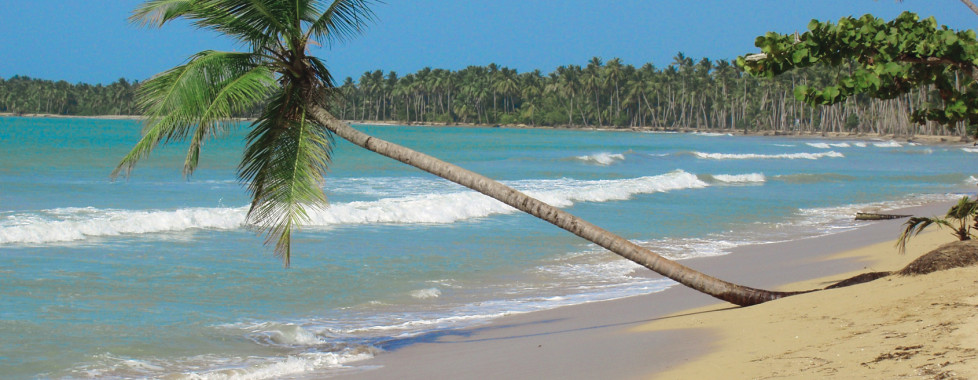 Emotions Playa Dorada, Puerto Plata - Vacances Migros