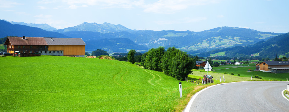 Blick auf Lingenau