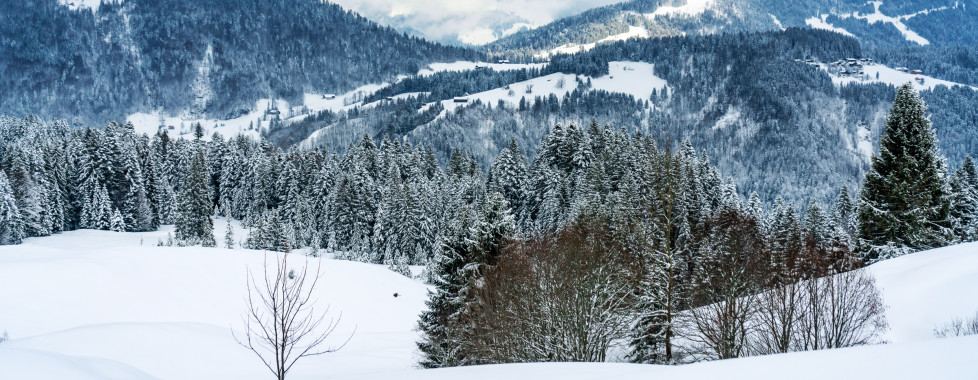 Bregenzerwald