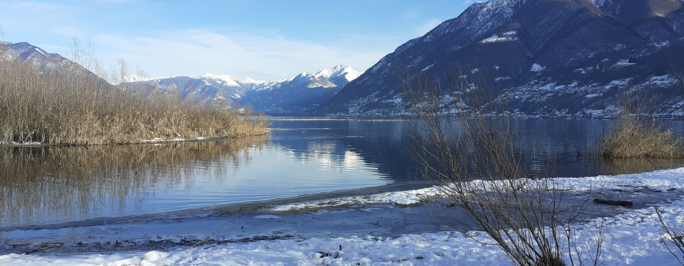 Winter am Lago Maggiore in Ascona