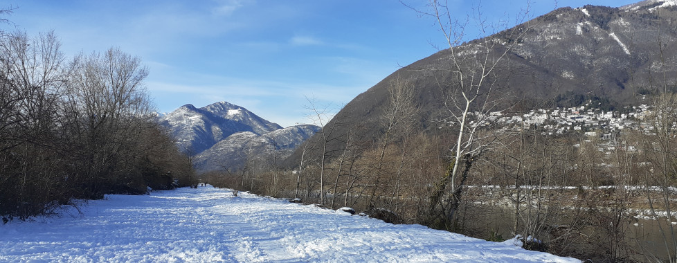 La fleuve Maggia en hiver