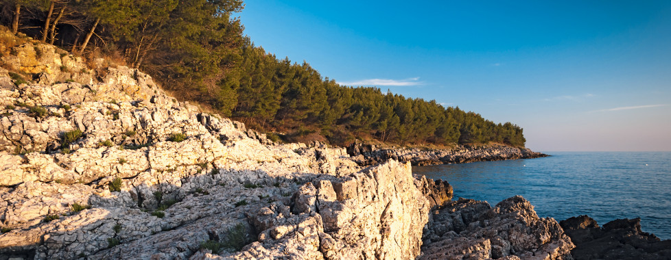 Pula (Istrie)